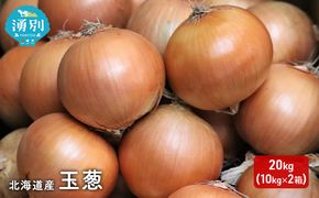 玉ねぎ 北海道産 タマネギ 20kg （10kg×2箱） [ たまねぎ 国産 産地直送 オホーツク 野菜 常備野菜 ]  えんゆう農業協同組合