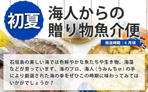 【4回/年定期配送 石垣島のタカラモノ便】 SH-3 春夏秋冬のお楽しみ(野菜 鮮魚 フルーツ 肉 牛肉 豚肉 加工品 八重山そば かまぼこ マグロ 果物 パイン マンゴー 頒布会 セット 贈答 4ヵ月)