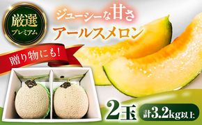 【2026年7月下旬〜発送】【平成新山メロンPREMIUM（とみちゃん厳選）】アールスメロン 2玉 / メロン めろん 果物 フルーツ / 南島原市 / うえだメロン園 [SAD004] 