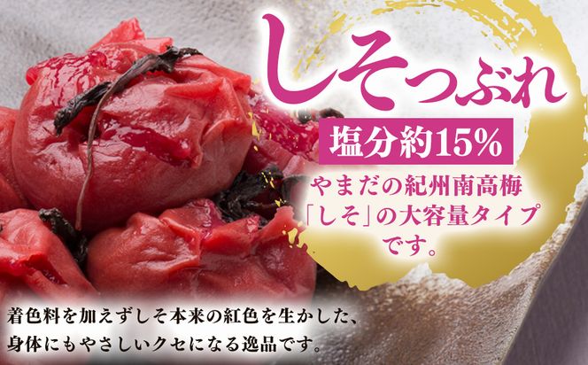 【定期便/2か月ごと/全5回】紀州南高梅しそ漬つぶれ（塩分約15％）700g×2