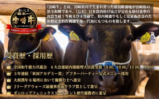 【数量限定】【祝！内閣総理大臣賞！＼日本一おいしいキャンペーン／】小林市産宮崎牛ヒレステーキ　4枚セット 宮崎牛 牛肉 肉 ステーキ ヒレ ヒレステーキ 数量限定