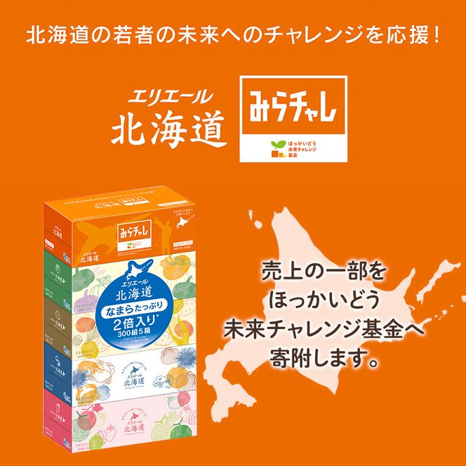 【2回お届け 計100箱】エリエール 北海道 ティシュー なまらたっぷり 300組5箱 10パック 大容量 まとめ買い 防災 常備品 備蓄品 消耗品 日用品 生活必需品 送料無料 赤平市 ストック 