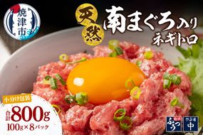 a10-1274　南鮪入り 焼津 海の極 ネギトロ 小分け 計800g 100g×8パック