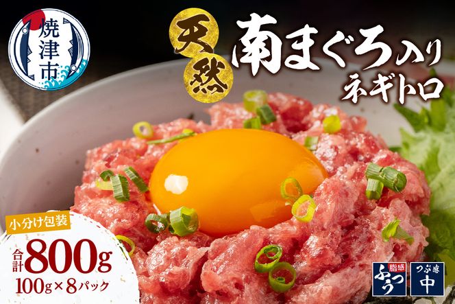 a10-1274　南鮪入り 焼津 海の極 ネギトロ 小分け 計800g 100g×8パック