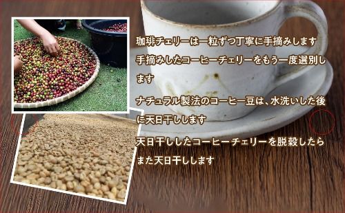 焙煎豆セット100ｇ×4種類 FDQ006