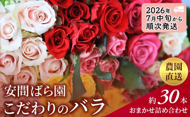 【2026年7月中旬から順次発送】安間ばら園 こだわりの バラ おまかせ詰め合わせ約30本入 クール便 花 ギフト 誕生日 記念日 花束 プレゼント バラ フラワーギフト