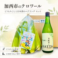 加西市のテロワール 日本酒 とうもろこし ペアリング セット 兵庫県 加西市 万願寺川 HATTA 720ml 1本 ＆ よしよし畑 とうもろこし 5本 コタニ酒店 セレクト