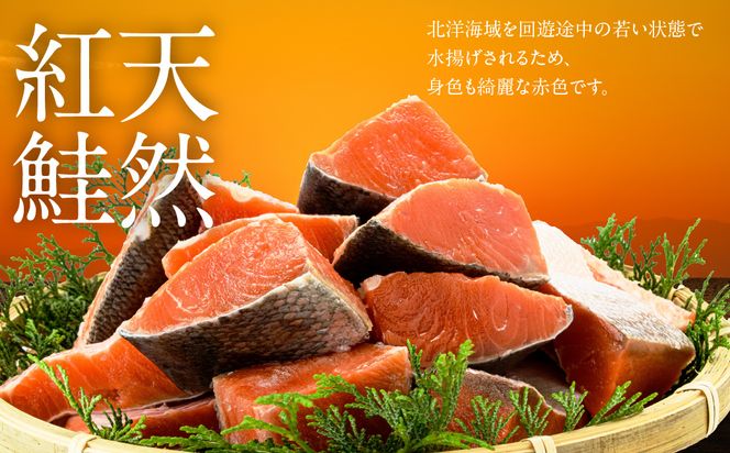 訳あり 紅鮭切落し 3.6kg  形 不揃い 小分け 北洋産 紅鮭 甘塩 甘塩仕立て 厚切り 脂のり 魚介類 アレンジ 焼き鮭  函館市 送料無料_HD272-003