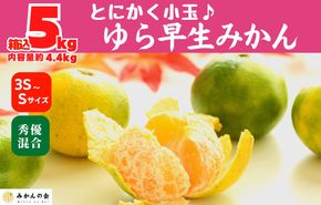 ゆら早生 みかん 小玉ちゃん 箱込5kg(内容量 4.4kg)3S～Sサイズ混合 秀優混合 有田みかん 和歌山県産 【みかんの会】［2026年10月下旬頃より順次発送予定］ AX309