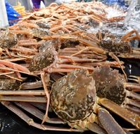 1102.【ボイル】訳あり　松葉ガニおまかせ2kg（3～7枚）※2025年11月上旬～2026年3月下旬頃に順次発送予定※着日指定不可 313726_AL036