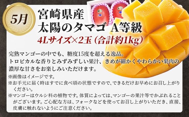 ＜太陽のタマゴを肉ではさんだ3か月定期便＞2025年4月から順次出荷【 定期便 宮崎牛 黒毛和牛 肩ロース肉 サイコロステーキ 牛肉 焼き肉 焼肉 スライス 太陽のタマゴ マンゴー 完熟マンゴー 若鶏 切身 切り身 鶏肉 精肉 】【b0913_co】