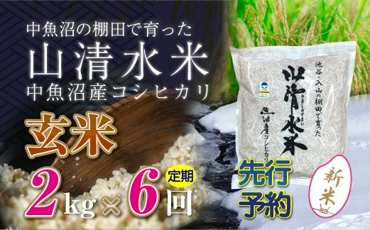 【令和8年産 先行予約】【定期便／全6回】玄米2kg 新潟県魚沼産コシヒカリ「山清水米」