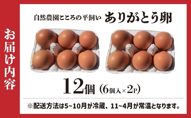 自然農園「こころ」の平飼い『ありがとう卵』 12個（6個×2パック）