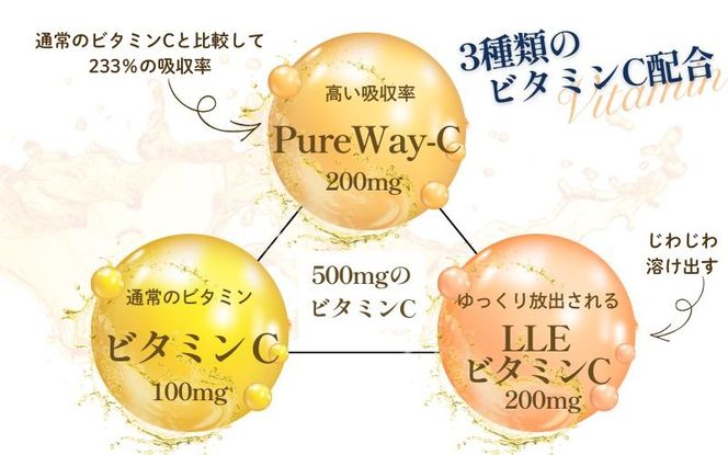 ビタミンCサプリメント300日分（60日分×5袋） 甘味料不使用 保存料無添加 ／ ビタミンC 美容 カプセル 健康 健康食品 サプリ サプリメント 吸収率 濃縮【cgiy0008】