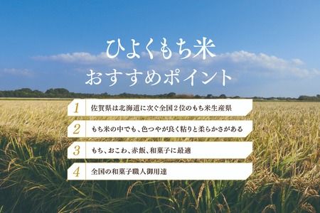 令和6年産 佐賀県産ひよくもち米10kg 【もち米 餅米 ヒヨクモチ 10kg 年末 餅つき 赤飯 おこわ おはぎ】(H015186)