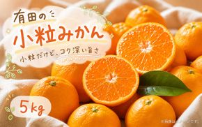 【有田の小粒みかん5kg　(S～3Sサイズ混合) ※2026年11月下旬～2027年1月下旬頃に順次発送予定  / みかん ミカン 蜜柑 温州みかん 柑橘 フルーツ 果物 くだもの 和歌山【uot845】 