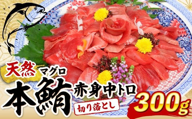 ymˎszVR{}O g Ԑg ؂藎Ƃ 300g (100g×3pbN) 󂠂 }O hg Jpb` ܂똥 ܂Ђ  y CN  HׂTCY ̓ Ⓚ s N}O }O