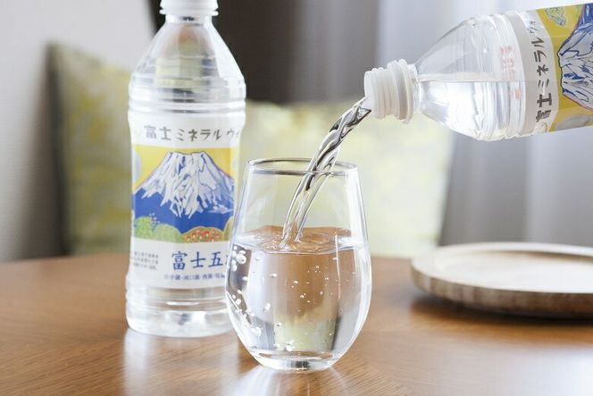 【ハイランドリゾートホテル＆スパ】エグゼクティブフロア宿泊　ツインルーム宿泊＋富士急ハイランドワンデイパス1日券付き（２名様１室・朝食付宿泊券） 宿泊券 ホテル 宿泊 観光 ペア 富士吉田 山梨