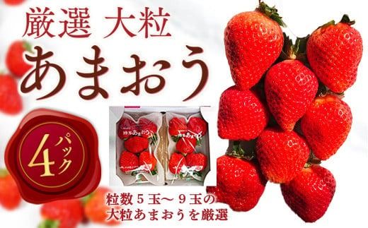 【期間限定発送】 いちご あまおう 厳選大粒 4p [THE FARM_strawberry 福岡県 宇美町 um40azo780007] イチゴ 苺 大粒 フルーツ 果実 甘い 小分け