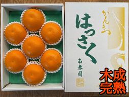 木成完熟 紅はっさく 特秀 大玉 2L × 7玉入 化粧箱 南泰園【2025年4月上旬～発送】 BS778