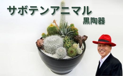 サボテンアニマル黒陶器｜植物 グリーンインテリア 緑 さぼてん村 10号 黒陶器鉢 寄せ植え サファリ どうぶつ 癒し 玄関 リビング トイレ ※離島への配送不可