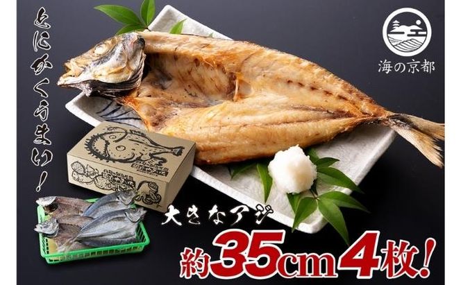 大きな大きなアジ一夜干し (大：35cm程) 魚貝類 魚 一夜干し あじ アジ 鯵 大きめ 干物 ひもの セット 日本酒 