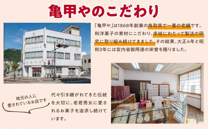 鳥取ブランケーキ 312011_EQ002