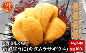 北海道 礼文島産 新鮮生うに キタムラサキウニ 40g×4パック［野崎水産］【 うに ウニ 雲丹 生うに ムラサキウニ 素材本来の味 海鮮 うに丼 甘み 産地直送 】