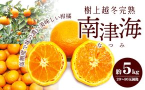 【 小豆島 】 南津海 （ なつみ ） みかん 約5kg 柑橘 ミカン 果物 フルーツ  越冬 完熟 くだもの 国産 香川 香川県 土庄 土庄町