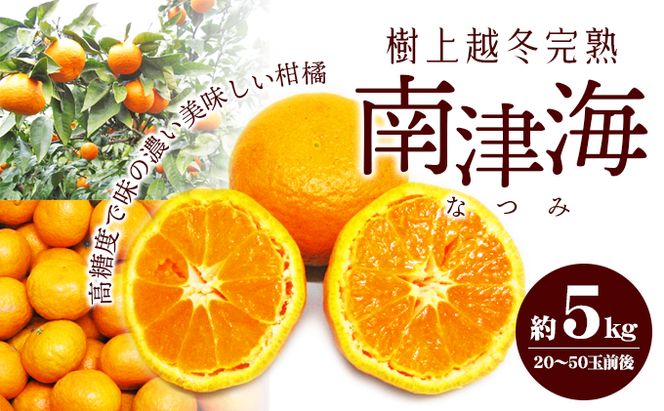 【 小豆島 】 南津海 （ なつみ ） みかん 約5kg 柑橘 ミカン 果物 フルーツ  越冬 完熟 くだもの 国産 香川 香川県 土庄 土庄町