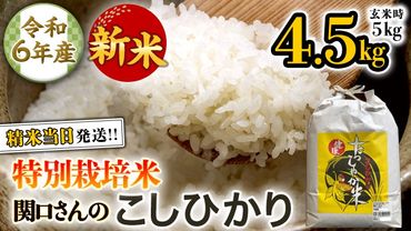 《 特別栽培米 》 令和6年産 精米日出荷 関口さんの「 こしひかり 」 4.5kg ( 玄米時 5kg ) 新鮮 精米 コシヒカリ 米 こめ コメ 特別栽培農産物 認定米 新米 [AM091us]