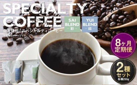 【定期便8ヶ月】自家焙煎スペシャルティコーヒー豆 250g×2種 | コーヒー豆 自家焙煎スペシャルティコーヒー ギフト 詰め合わせ