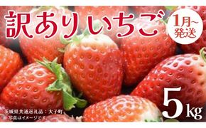 訳ありいちご 5kg【2026年1月発送開始】(茨城県共通返礼品：大子町) 苺 果物 フルーツ 果実 ご家庭用	