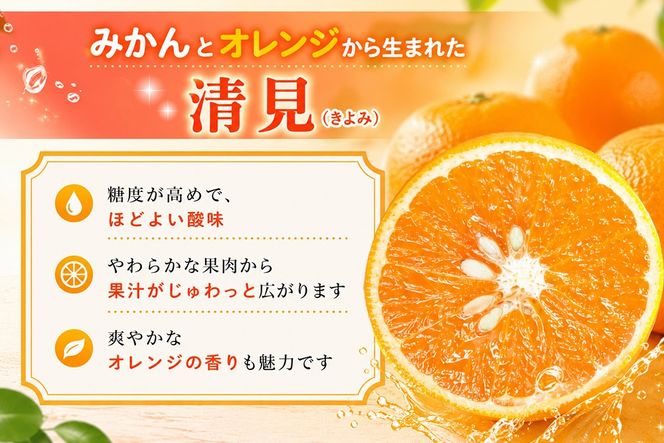 【2027年3月中旬より発送開始】清見(きよみ)みかん 8kg～10kg【みかん オレンジ 柑橘 フルーツ デザート】(H116139)