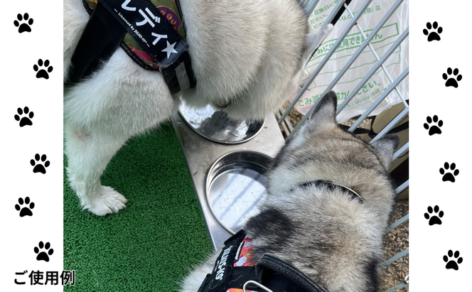 ごはん台 大きなわんちゃんのごはん台（中） ペット ペット用品 犬 テーブル 食事 給水 エサ台 オールステンレス 日進市 愛知県