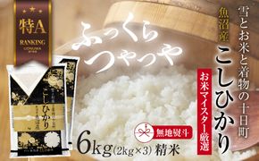【無地熨斗】 魚沼産 コシヒカリ 2kg ×3袋 計6kg お米 こしひかり 新潟 （お米の美味しい炊き方ガイド付き） 精米 ご飯 ブランド米 銘柄米 