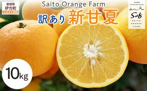 【先行予約】Saito Orange Farm　お徳・訳あり用　新甘夏10kg 柑橘 みかん ミカン フルーツ 果物　甘夏　新甘夏　サンフルーツ　 愛媛　　※2027年3月中下旬頃より順次発送予定 IKTAQ040