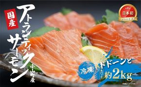 日本初 完全陸上養殖 小山町産 アトランティックサーモン 冷凍 8パック 約2kg