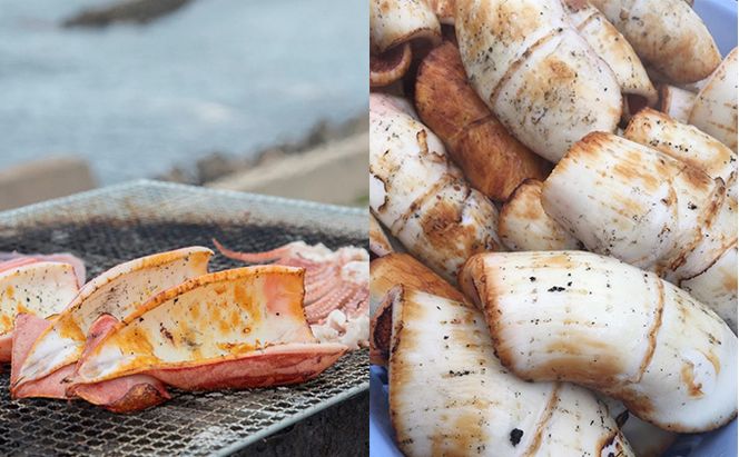 イカ 生干しイカ 4枚（1枚約200g×4枚） 炭火焼きイカ 4パック いか セット 干物 干物セット するめ スルメ スルメイカ 海鮮 魚介類 魚介 海産物 惣菜 青森県 鰺ヶ沢町 ※ご入金確認後 3ヶ月以内の発送になります。 青森県鰺ヶ沢町 