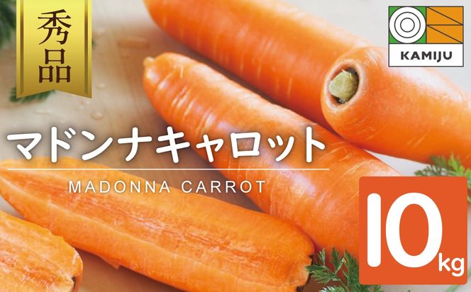 【予約受付】＜フジテレビ『どっちのふるさと？』で紹介されました！＞ こどもも食べられる甘み！ジュースにしても美味しい！「マドンナキャロット」 10kg にんじん 野菜 H105-231