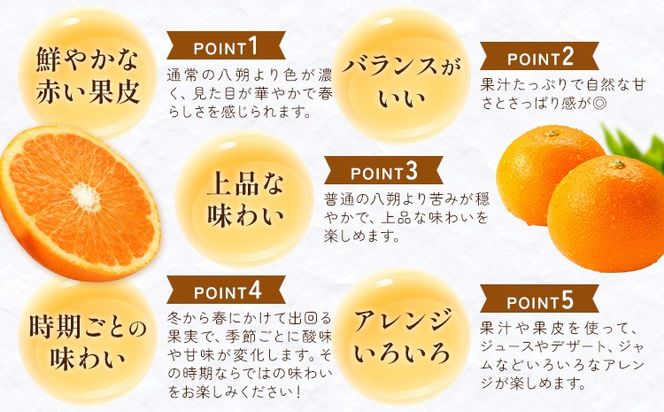 八朔 紅八朔 村のこだわり 紅はっさく 約3kg 山口允張《1月中旬-2月中旬頃出荷》 徳島県 佐那河内村 送料無料 柑橘類 柑橘 果物 フルーツ はっさく べにはっさく お取り寄せフルーツ【配送不可地域あり】※離島不可---sanagouchi_ymh_2_3kg---