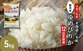 12ヵ月 定期便 銀山米研究会の無洗米＜ゆめぴりか＞5kg×1袋【機内食に採用】 ライス 白米 精米 ブランド米 おにぎり お弁当 北海道産 産地直送 ご飯 時短 朝ごはん 夜ごはん 昼ごはん [株式会社 松原米穀]