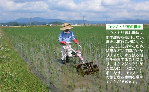 新米 六方たんぼ コシヒカリ 農薬不使用（白米：3kg）令和8年産 / 米 お米 精米 コシヒカリ コウノトリ育む農法