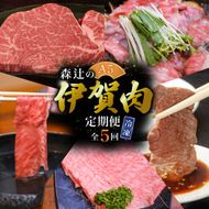 （冷凍）伊賀肉 森辻の【定期便】伊賀牛A5各種 5回お届け【mrtj-tkb0002】