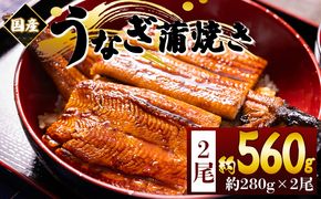 国産蒲焼きうなぎ ２８０ｇ ２尾 計５６０ｇ fb-0175