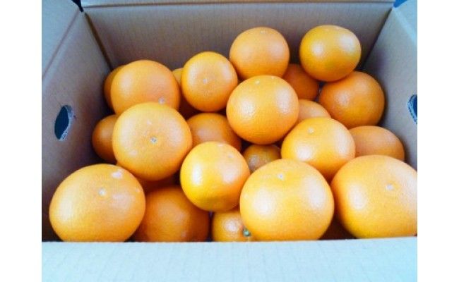 とにかくジューシー清見オレンジ　5kg