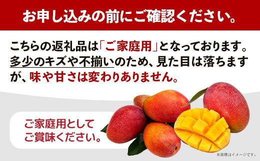 【先行受付】【2026年発送】大城マンゴー農園 マンゴー 家庭用 約1.5kg - 先行予約 アップルマンゴー 沖縄 産地直送 南国フルーツ 旬の味覚 ご自宅用 オススメ 沖縄県 八重瀬町