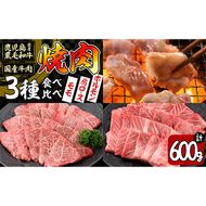 【焼肉3種！食べ比べセット】鹿児島県産黒毛和牛 モモ・肩ロース・国産ホルモンの焼肉3種セット＜計600g＞ a4-080