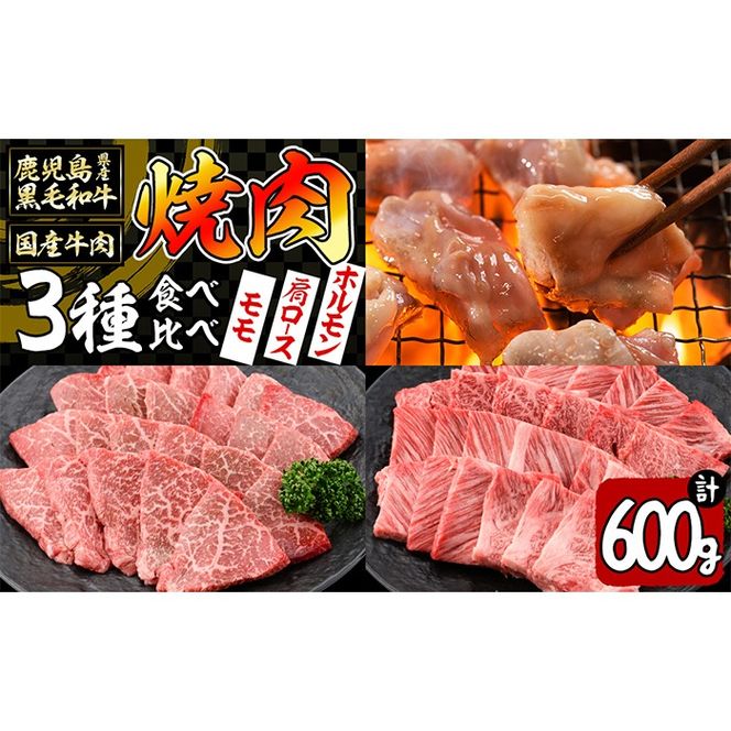 【焼肉3種！食べ比べセット】鹿児島県産黒毛和牛 モモ・肩ロース・国産ホルモンの焼肉3種セット＜計600g＞ a4-080