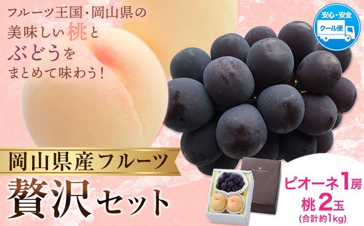 [2026年発送先行予約]桃・ピオーネ詰め合わせ 約1kg クール便 冷蔵便 桃 もも 葡萄 ブドウ ぶどう ピオーネ フルーツ セット 晴れの国おかやま館 [2026年8月下旬-9月中旬頃出荷] フルーツ 果物 果実 岡山県 矢掛町---ofn_chokmp_h8_25_16500_10---